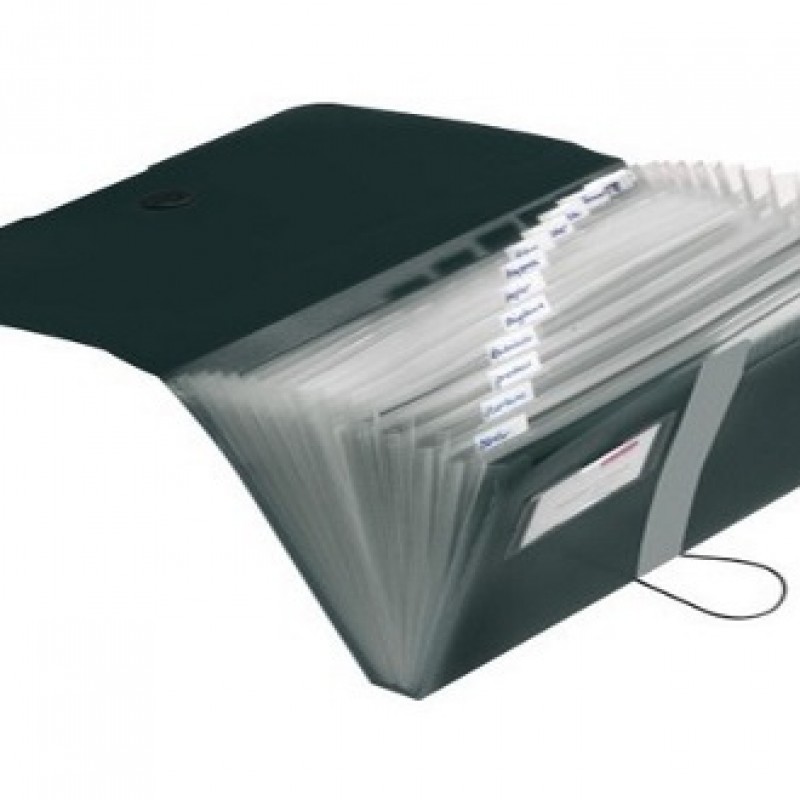 organizer